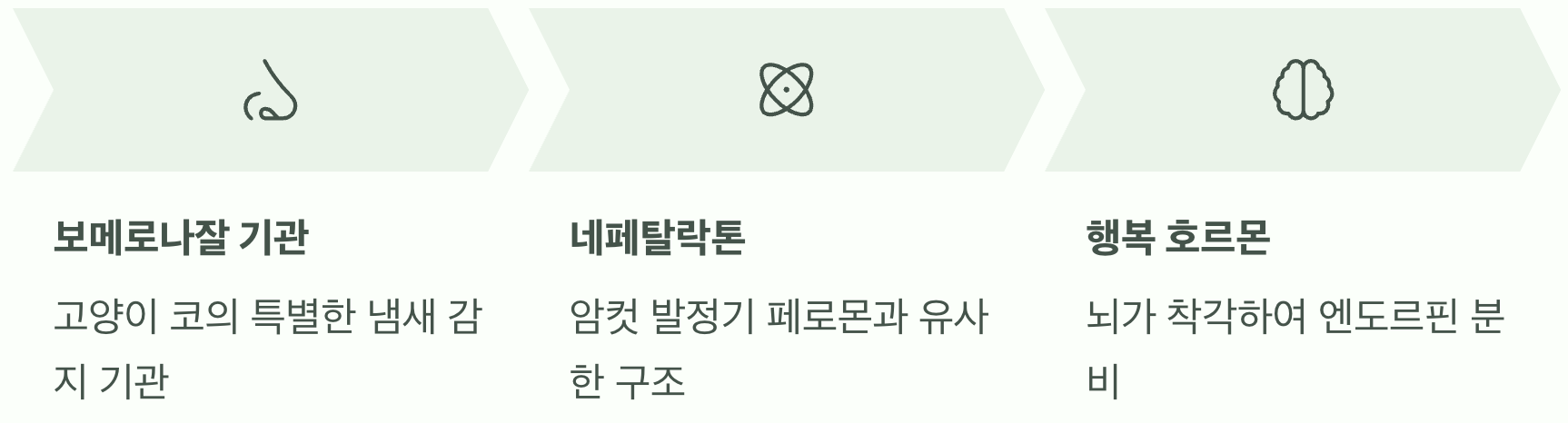 뇌를 속이는 '행복 페로몬'의 착각