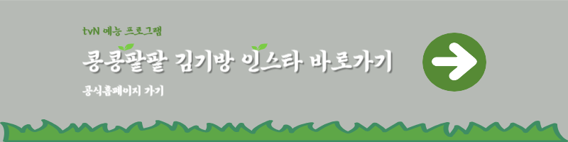 콩콩팥팥