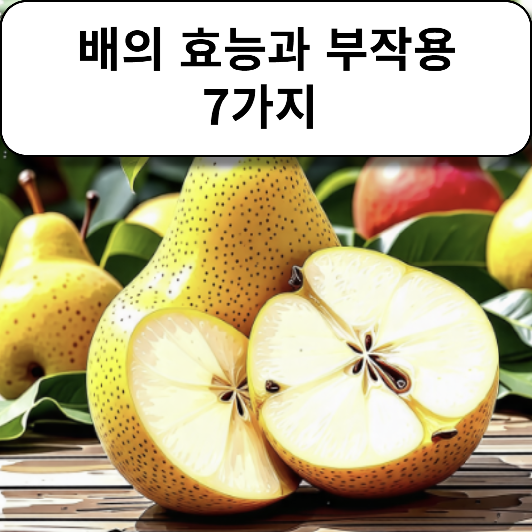 배의 효능과 부작용