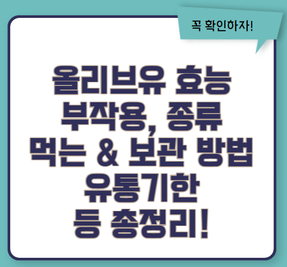 올리브유 효능 종류 섭취방법 보관방법 등 총정리(2024 최신)