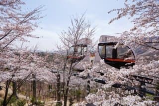 화담숲 연인&amp;#44;가족 대표적인 추천코스 트랜드장소 사진