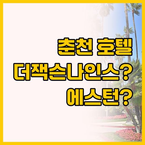 춘천 호텔 비교, 더잭슨나인스와 에스..
