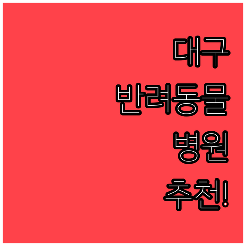 대구 수성구 반려동물 전문 병원 추천..