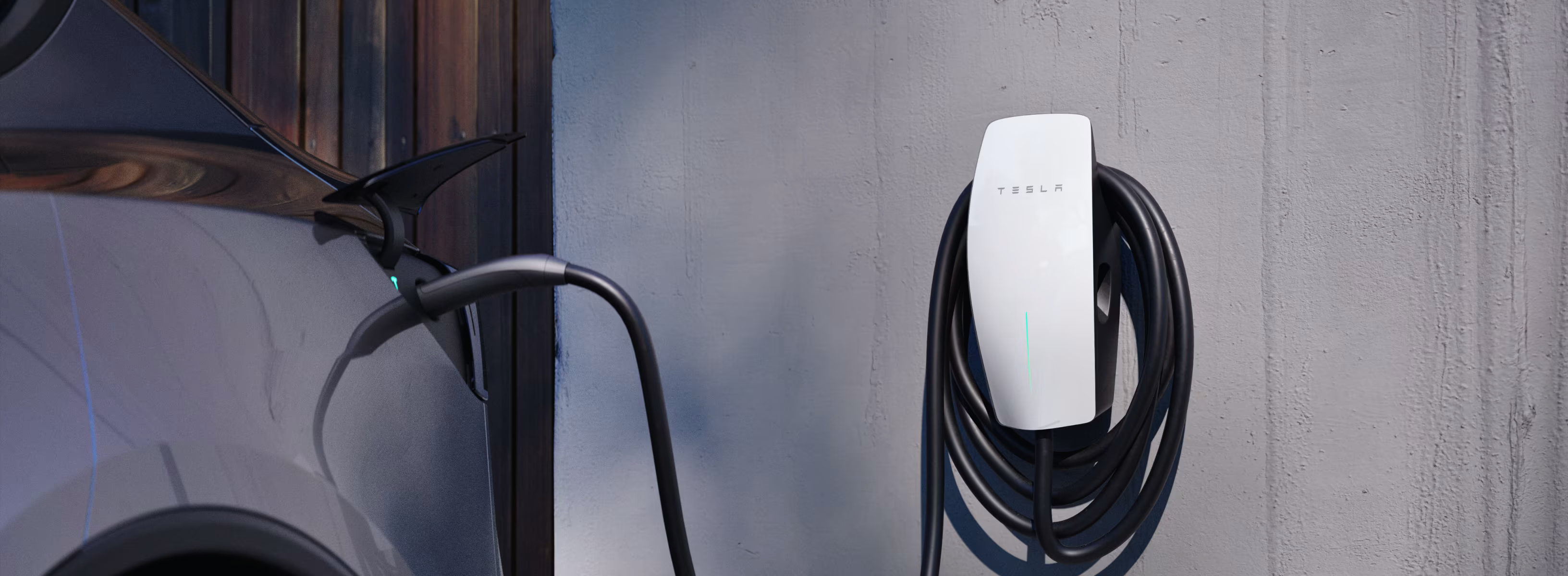 전기차 충전 중인 테슬라 모델 Y