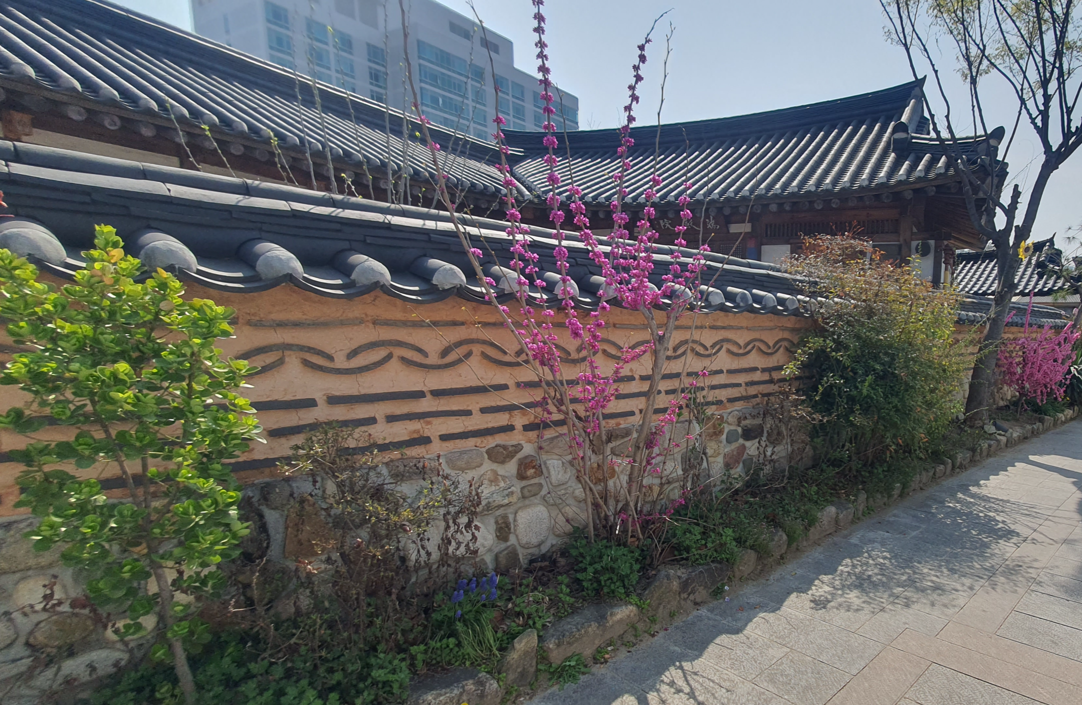 전주 한옥마을 : 한국 건축양식의 아름다움을 경험하다