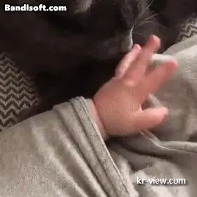 img.webp?credential=yqXZFxpELC7KVnFOS48ylbz2pIh7yKj8&expires=1767193199&allow_ip=&allow_referer=&signature=W84NxvwQNnKrv4aLfTWvjh%2F%2FmE4%3D