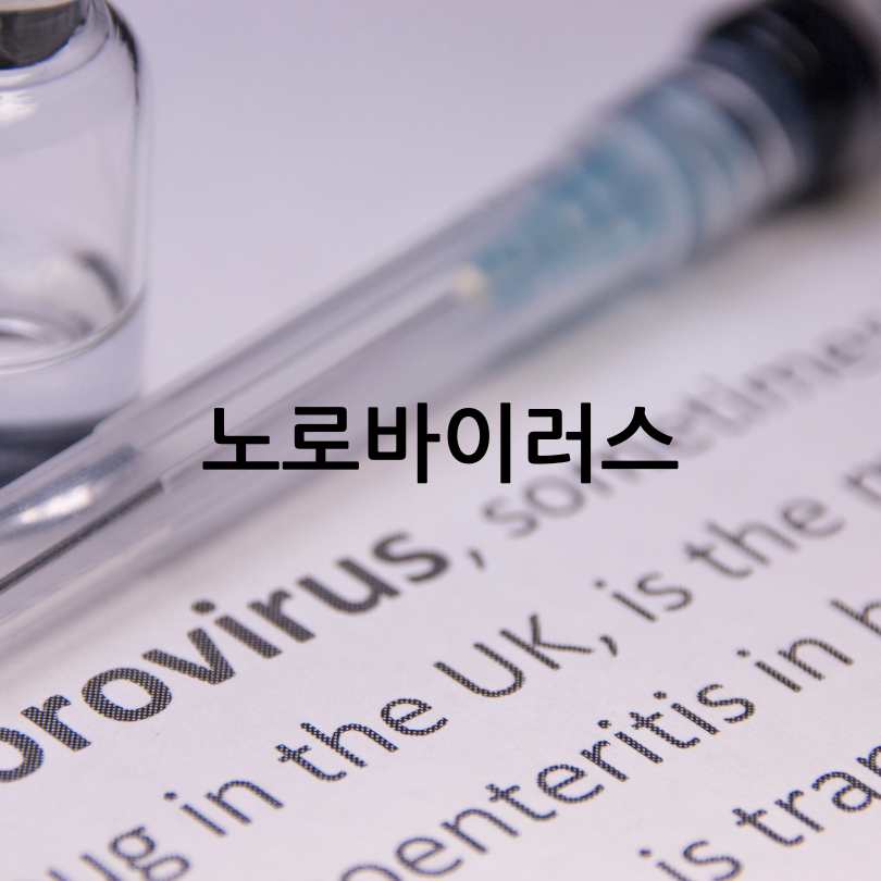 노로바이러스증상