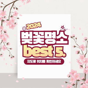 부산 벚꽃 명소 best5