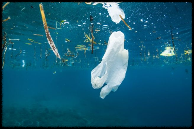 기후 위기와 플라스틱 문제: 당신이 반드시 알아야 할 사실과 실천 방법