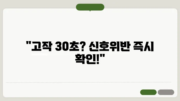 신호위반 실시간 조회 30초면 확인 가능