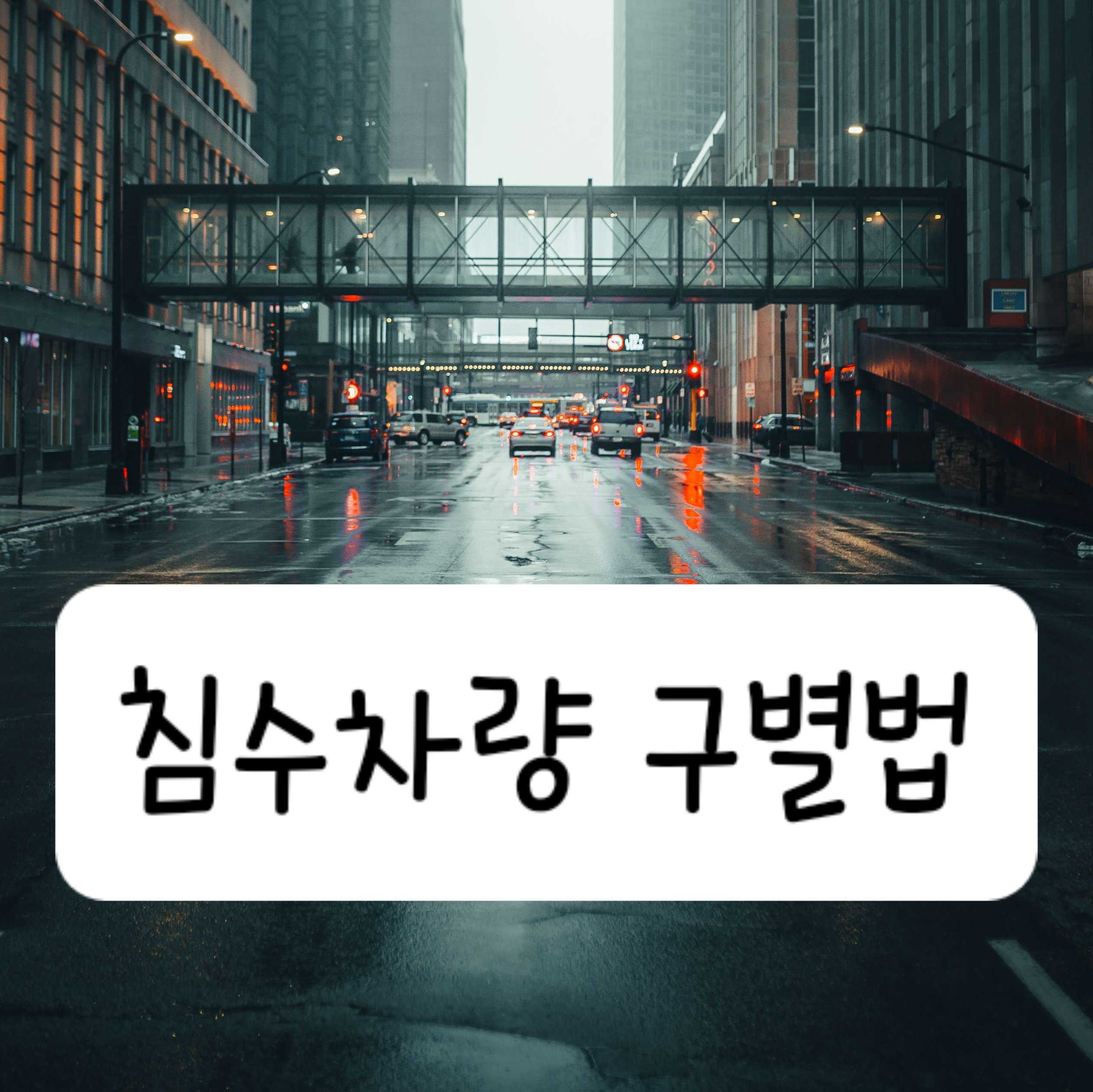 침수차량 구별법