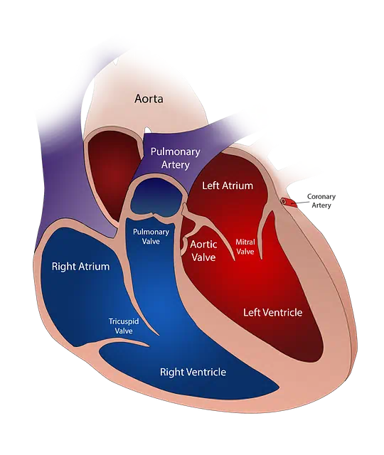 고지혈증 관련 사진1