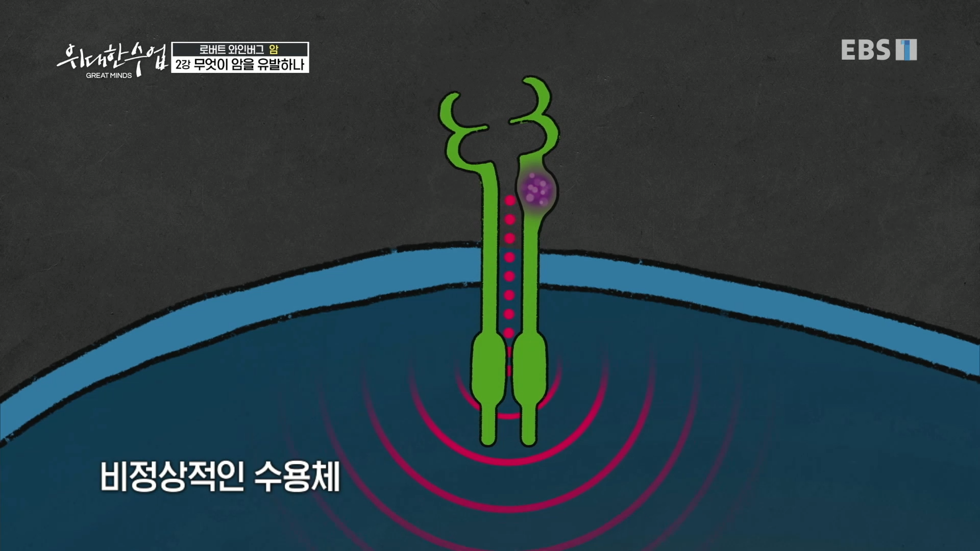 비정상적인 수용체