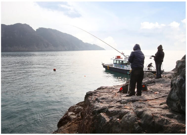 소나무 향기 펜션