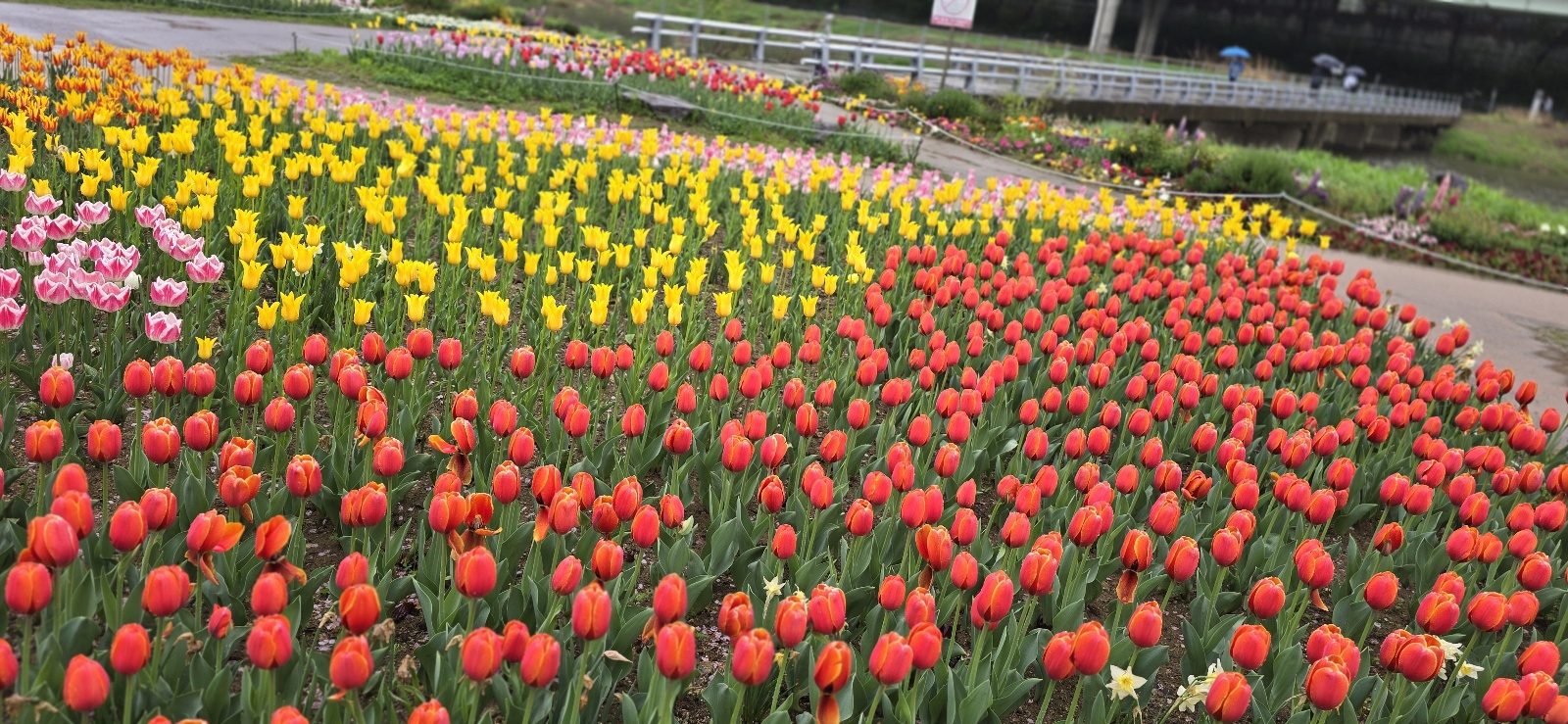 튜울맆 직접 찍은 사진