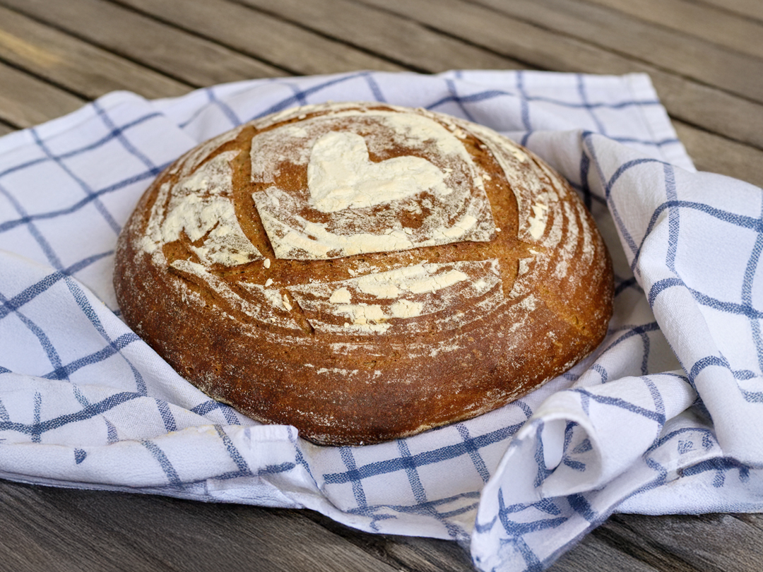 지에라오븐후기 사워도우빵굽기