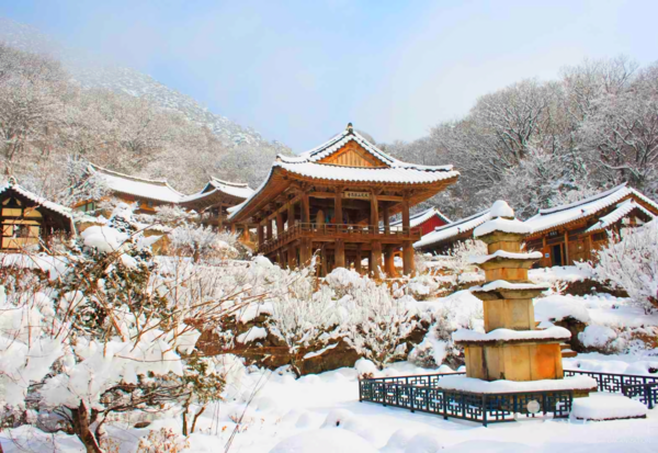 경북 겨울 명소 추천, 설경 속 역사·사찰 여행지 BEST 4