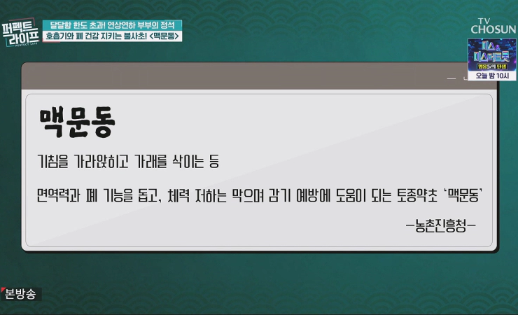 맥문동이란?
