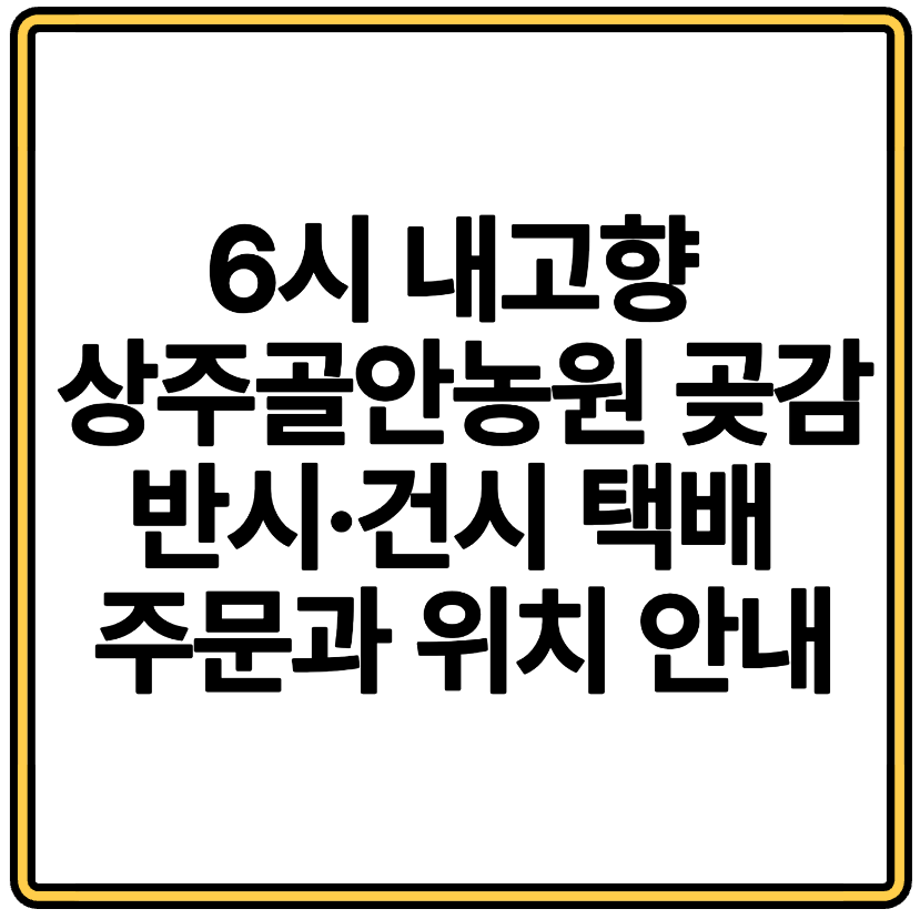 6시 내고향 상주골안농원 곶감 반시·건시 택배 주문과 위치 안내