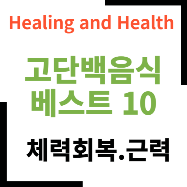 고단백음식 베스트10