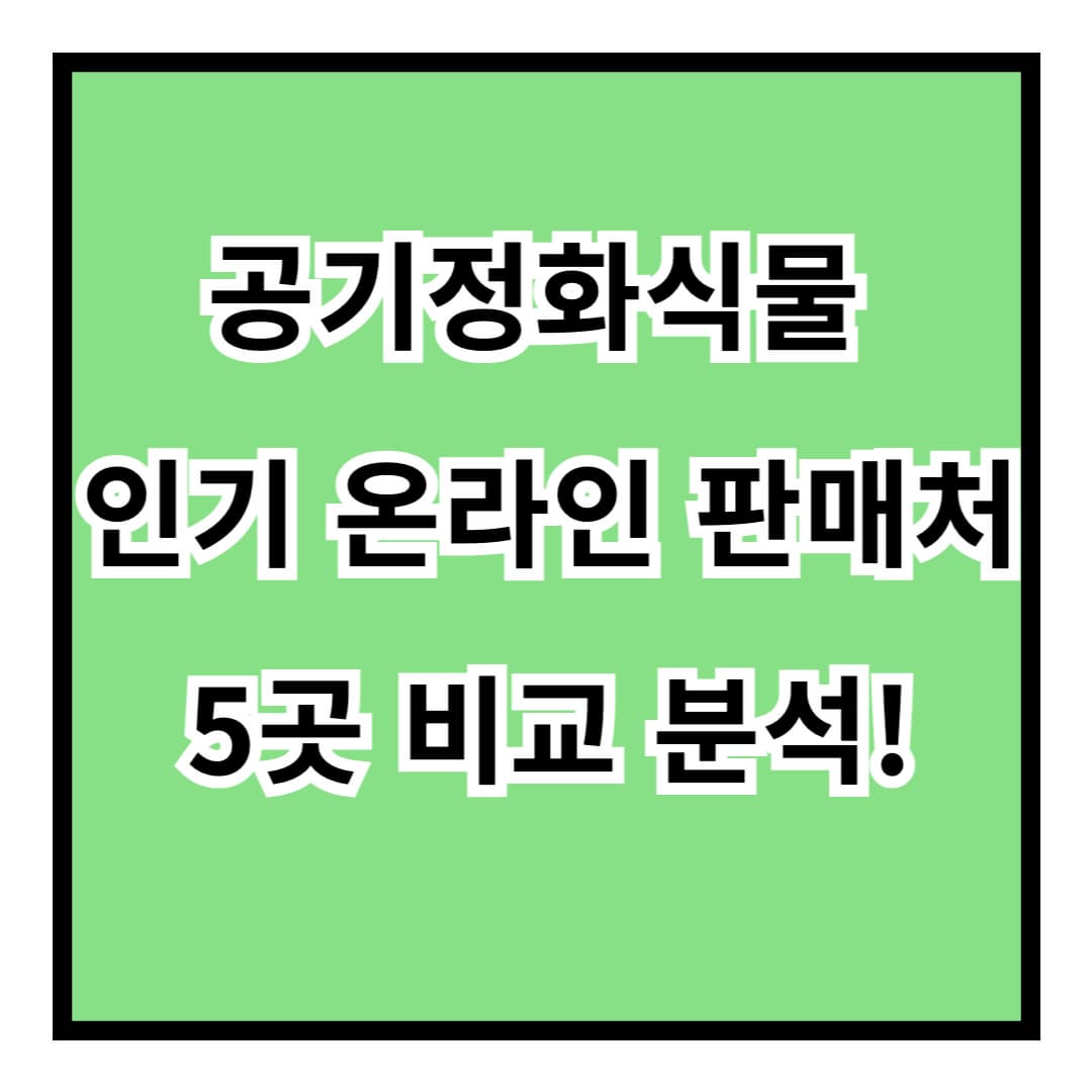 공기정화식물 어디서 살까?