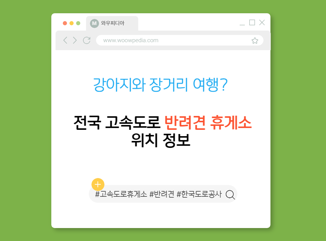 강아지와 장거리 여행 전국 고속도로 반려견 휴게소 위치 정보