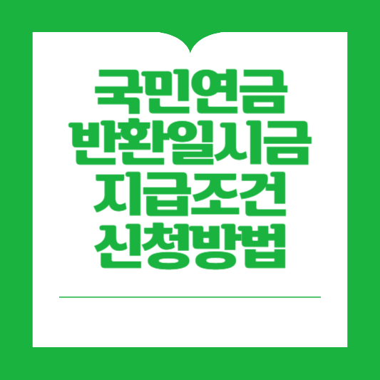 국민연금 반환일시금