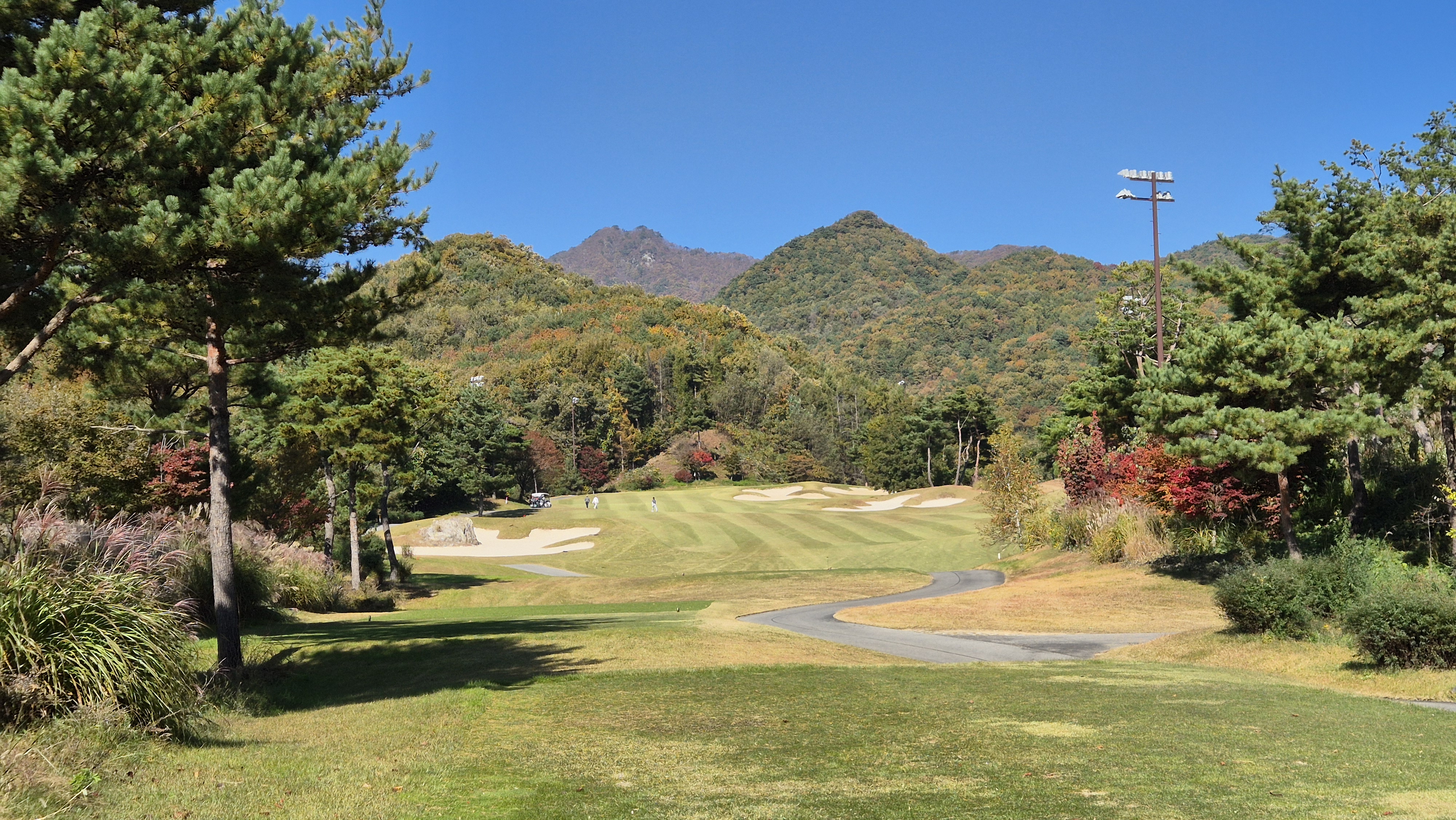 동촌gc 서코스 사진 및 공략 정보