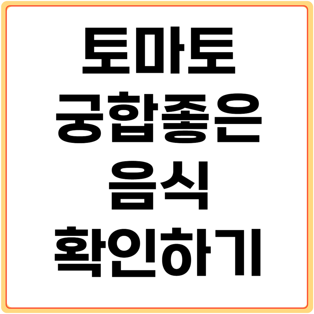 토마토와-궁합-좋은-음식-5가지-알아보기