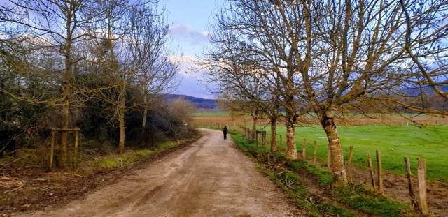 산티아고 순례길, Camino de Santiago