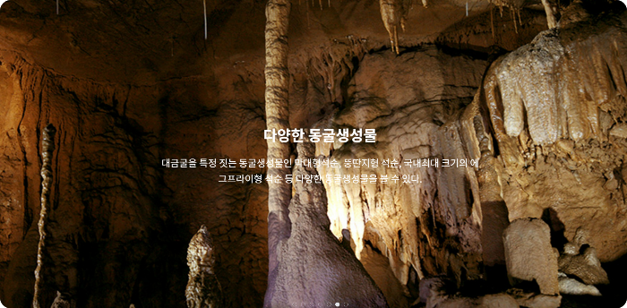 삼척-놀거리