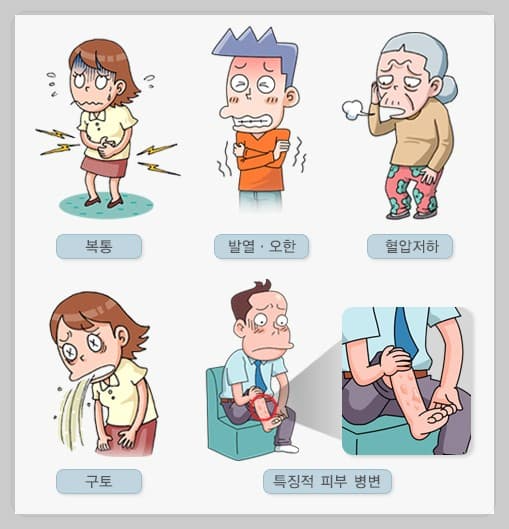 비브리오 패혈증 증상