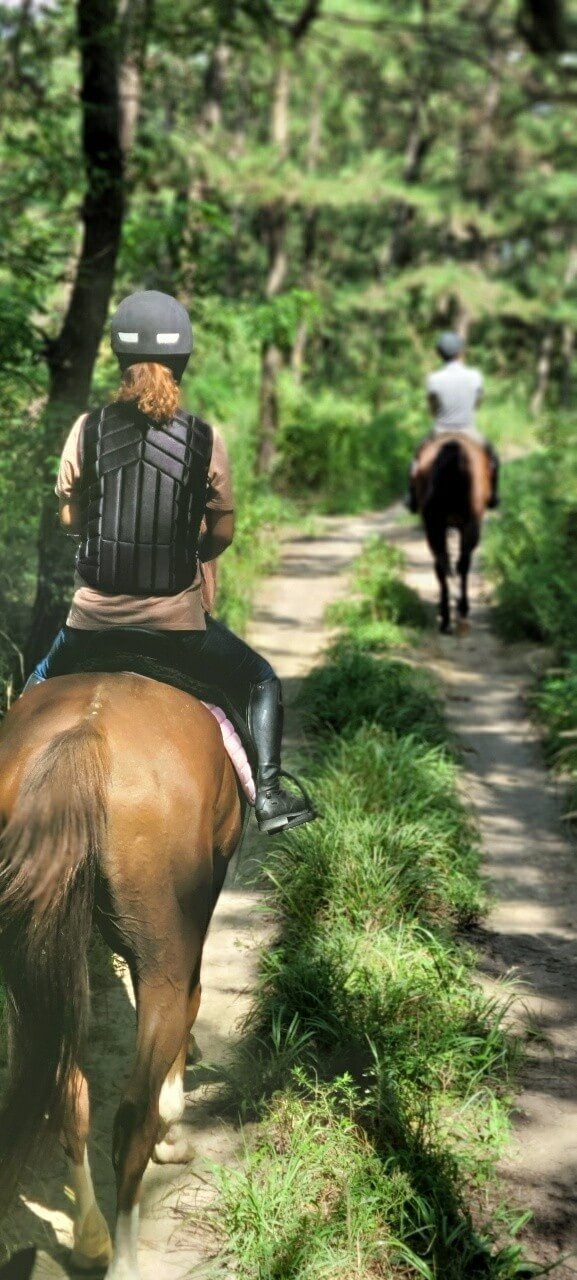 생생정보 2309회 장PD의 AI 여행기 고창 여행일정 총정리&#44; 고창청농원&#44; 해변승마클럽 취게팜&#44; 두암초당&#44; 본가 백합한상