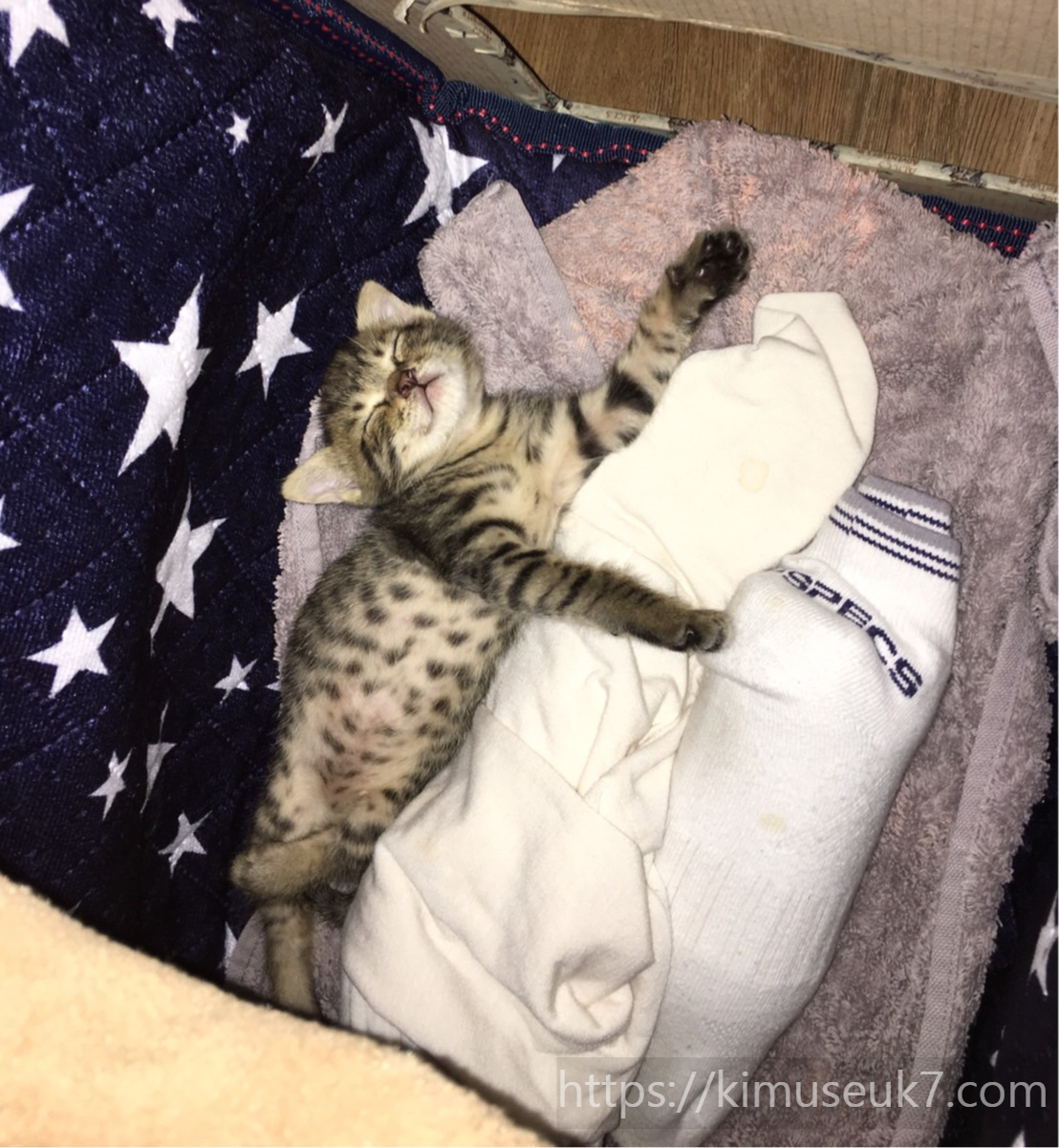 초기 돌봄의 마지막 시기, 개입을 줄이고 관찰을 남기다