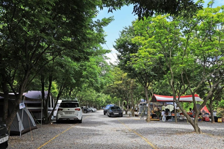 가평 '맑은물소리캠핑장' 미리보기