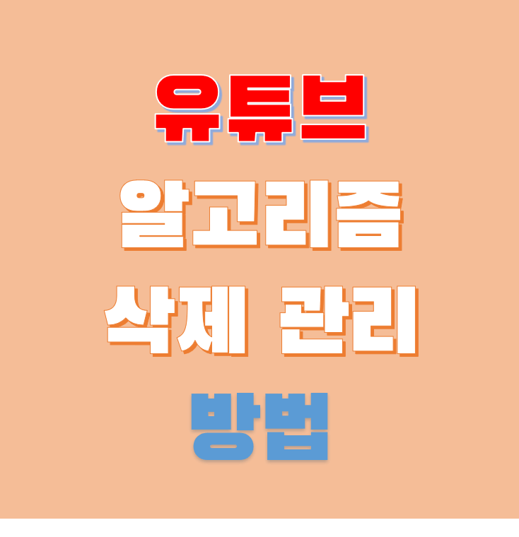 유튜브-알고리즘-기록-관리