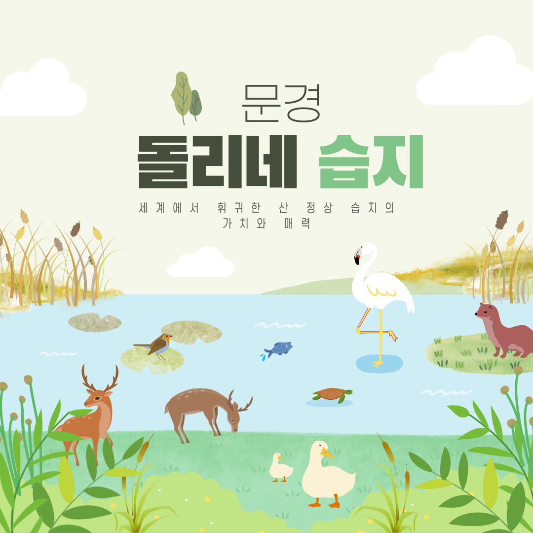 문경 '돌리네습지'