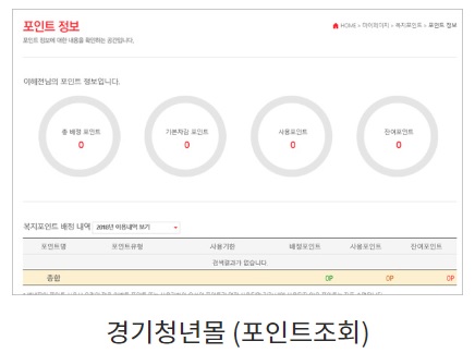 경기도 청년 복지포인트 8