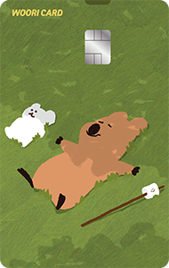 카드의정석 오하CHECK 0