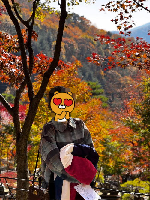 단풍이 절정