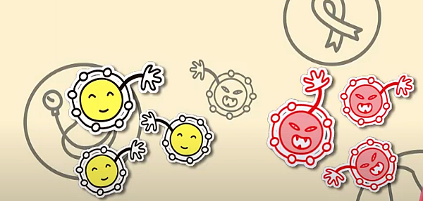 활성산소의 두 얼굴_출처:EBS사이언스유튜브