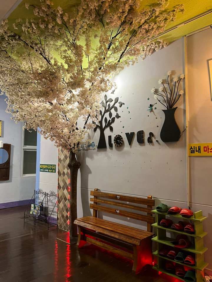 보은키즈드림캠핑장 학교