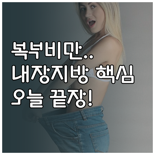 복부비만 관리 내장지방 감량을 위한 ..