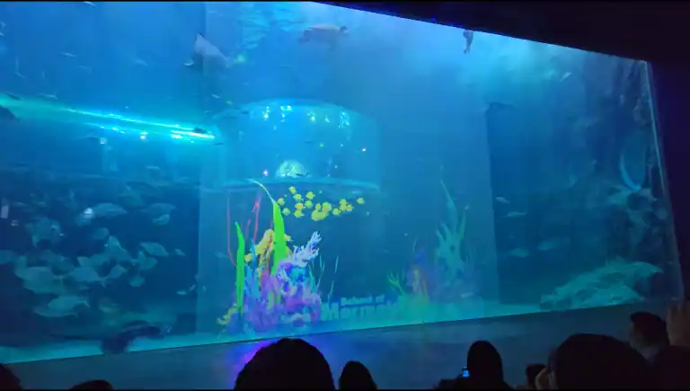 아쿠아플라넷 여수 공연