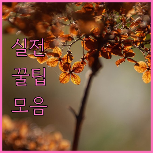 개인회생 불가능한 채무 완벽 정리 피