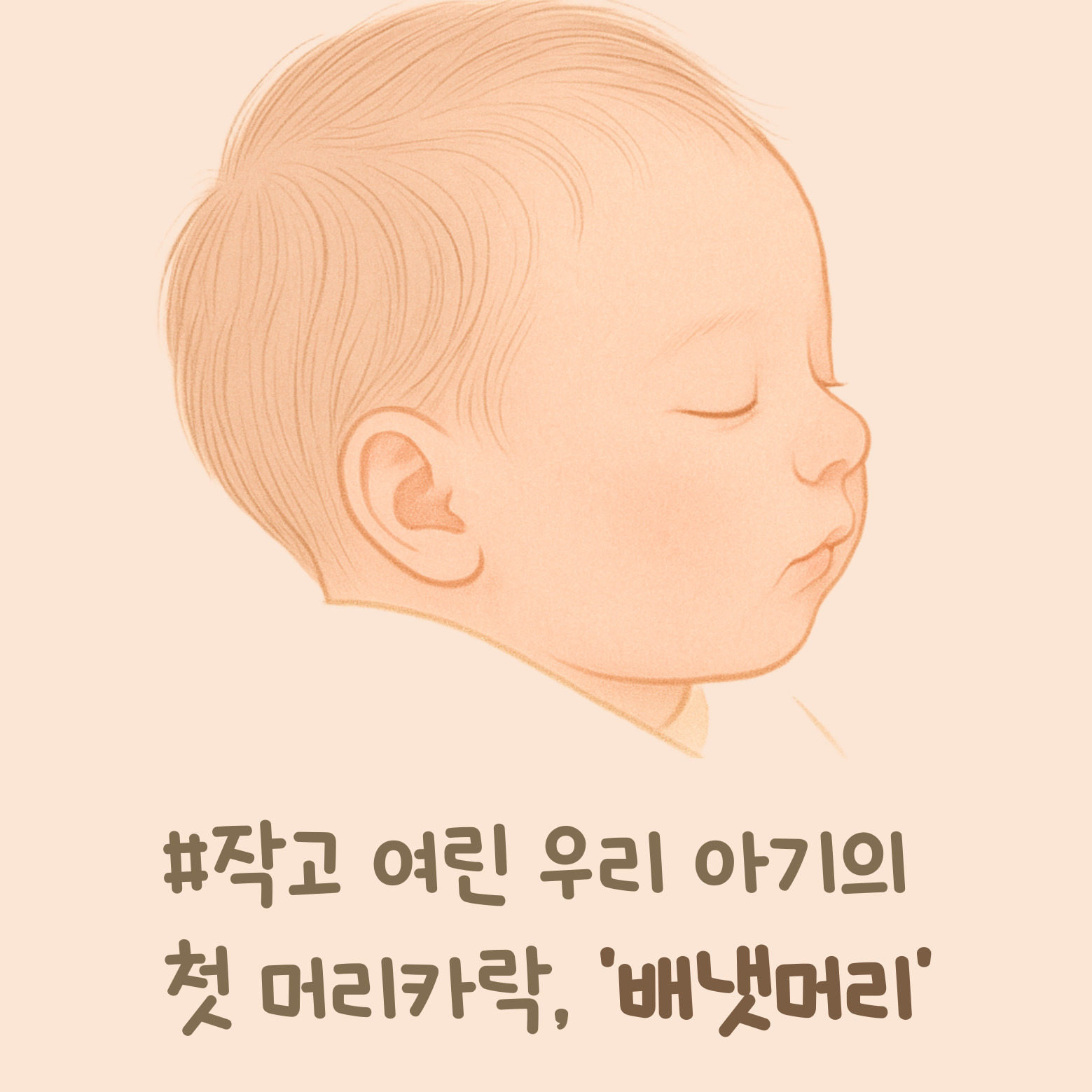 배냇머리(태모) 이미지