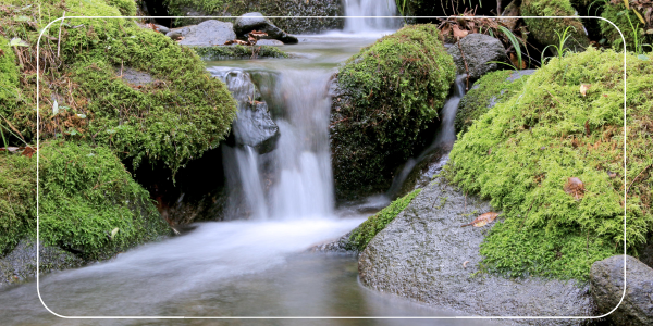 다자녀 자동차 취득세 감면 1