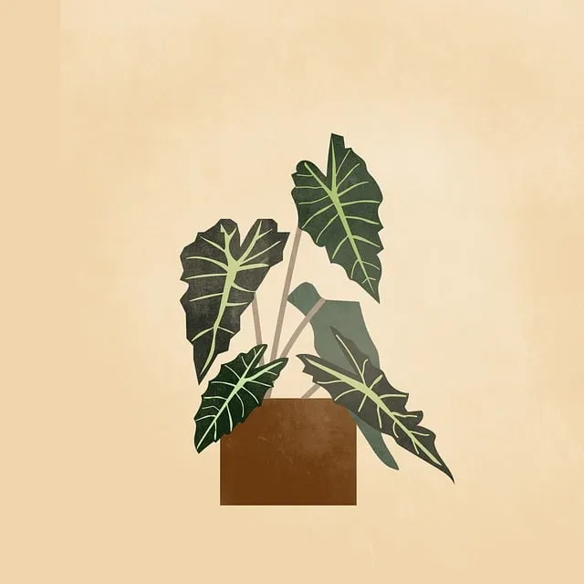 물없이 잘 자라는 실내 식물 추천_2