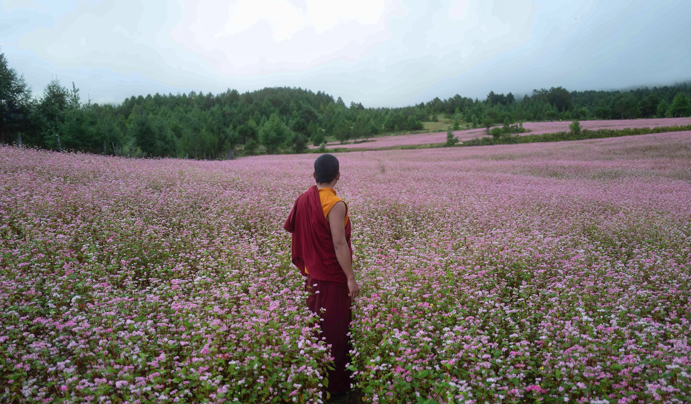 총을 든 스님 관람평 포토