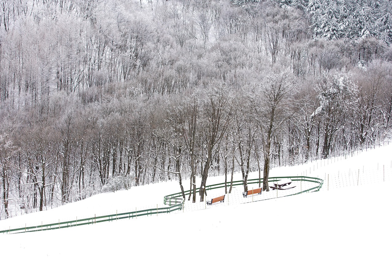 전자파 걱정없는 탄소매트 추천